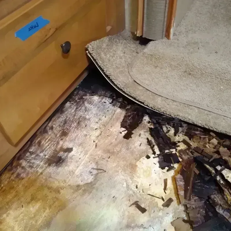 Wood Floor Water Damage in Goulding, FL